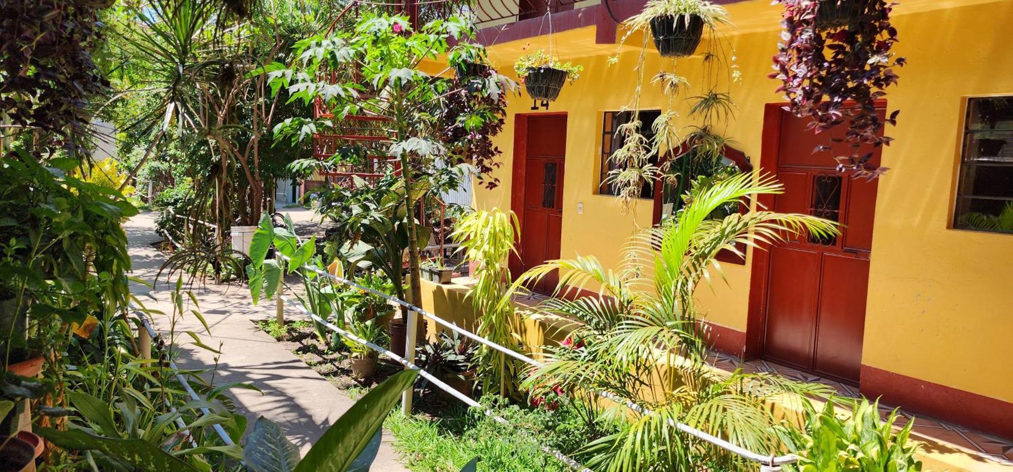 Hospedaje Santo Domingo Панахачель Экстерьер фото